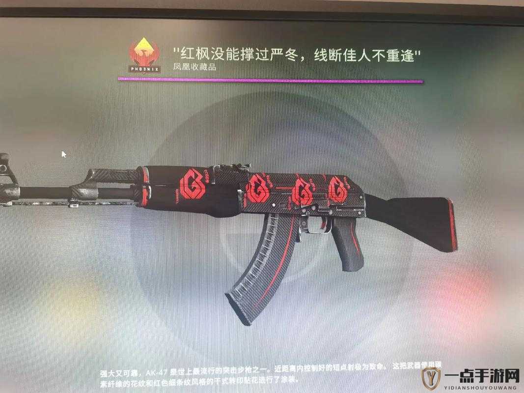 CSGO 暴躁妹妹与独特 logo 对比：别样魅力呈现